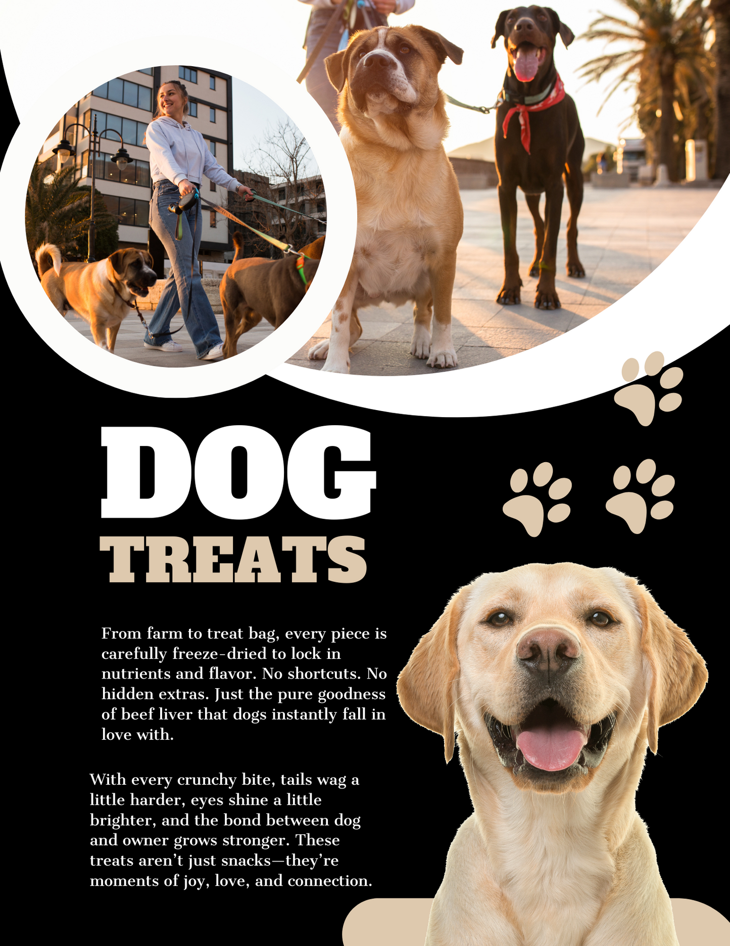 Freeze-Dried Beef Liver Dog Treats – High Protein, Grain-Free, Single Ingredient Snack – Natural Training Treats for All Breeds – Made in USA