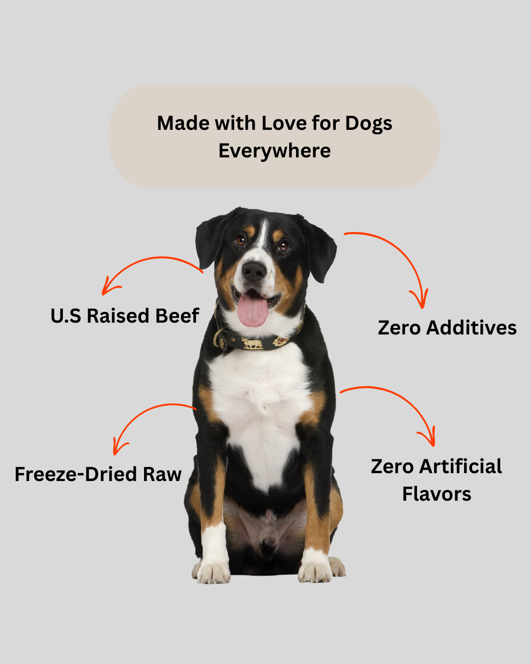 Freeze-Dried Beef Liver Dog Treats – High Protein, Grain-Free, Single Ingredient Snack – Natural Training Treats for All Breeds – Made in USA