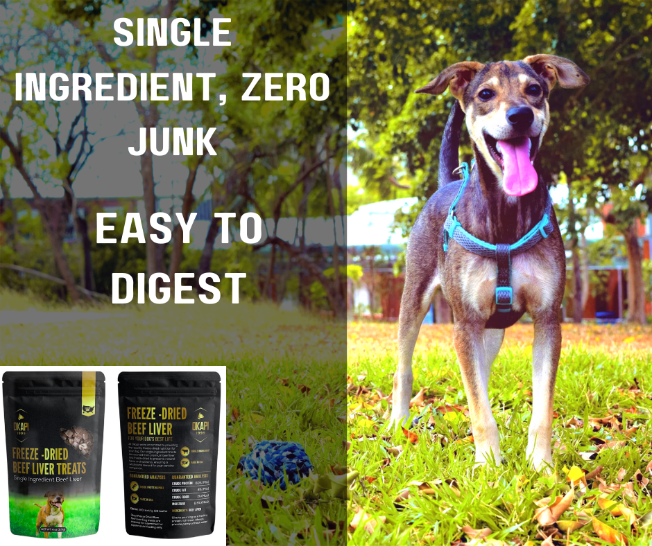 Freeze-Dried Beef Liver Dog Treats – High Protein, Grain-Free, Single Ingredient Snack – Natural Training Treats for All Breeds – Made in USA